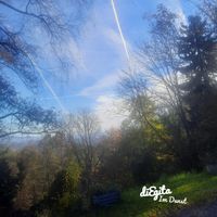 Im Dunst by diEgita
