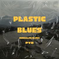 Plastic Blues de Pierre-Yves Brégand