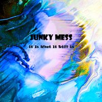 It Is What It Still Is by Junky Mess