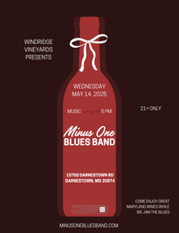 Minus One Blues Band: Live at Windridge Vineyards