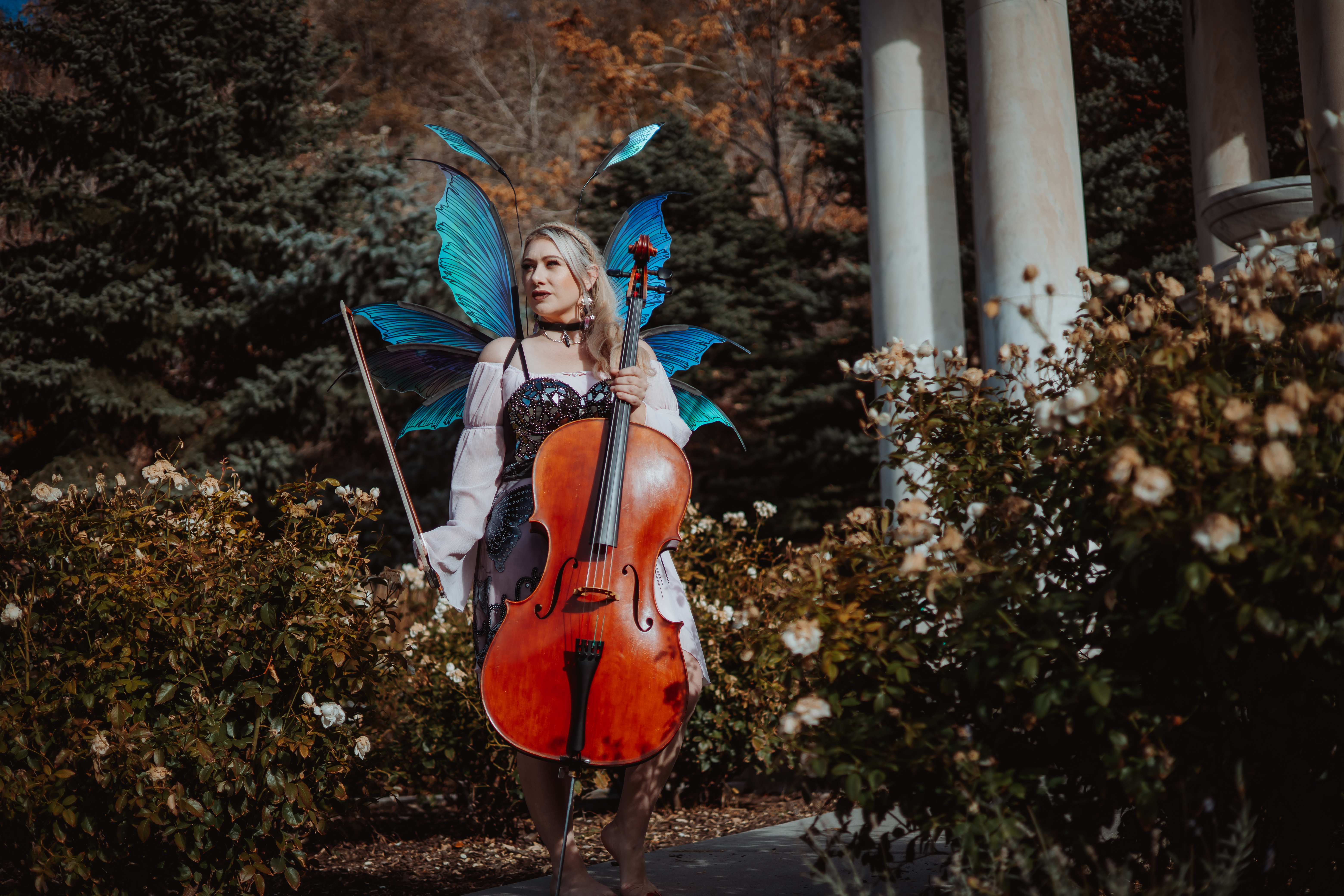 CelloKat — Photo