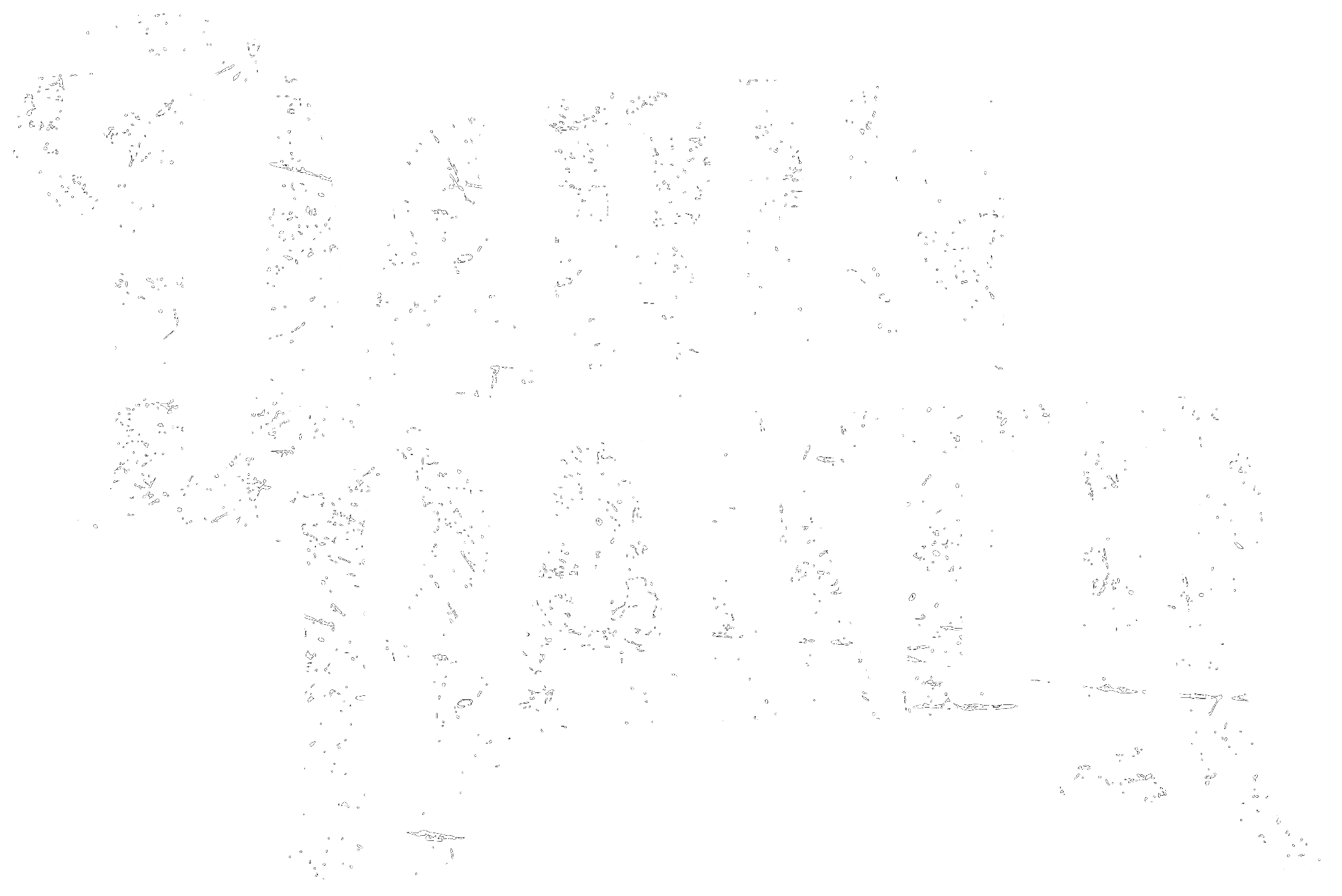 darinbakerking