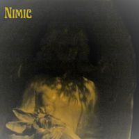 Nimic by Nimic