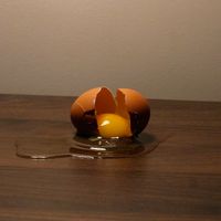 Eggshells by Lilie Collins