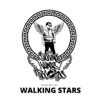 Walking Stars by Evolving Wings