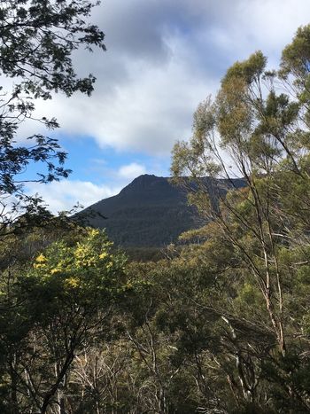 Mount Blackwood
