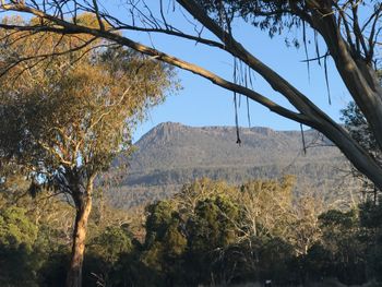 Mount Blackwood

