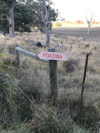 following the bike trail back up to Poatina
