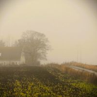 Dazed By The Mist by And Then So Clear
