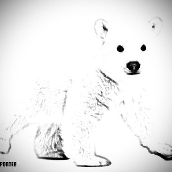 Cub Reporter
