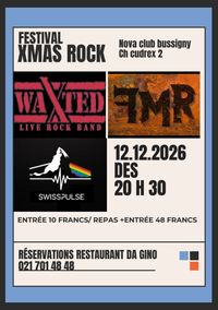 swisspulse - The Swiss Pink Floyd Experience