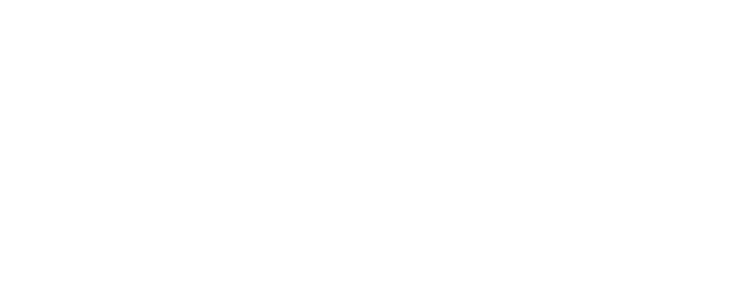 Twilight Stunt Work 