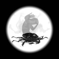 KAFKA'S INSECT