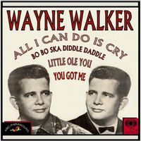 ALL I CAN DO IS CRY by WAYNE WALKER VERSION