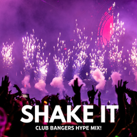Shake It (Club Bangers Hype Mix) by Groove Armada (House)