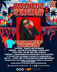 The Aesthetic of Excellence: A Vibe of Valued Artistry