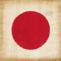 Japan Tour
