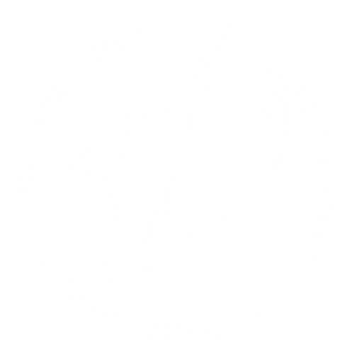 Fashionable Disaster Logo