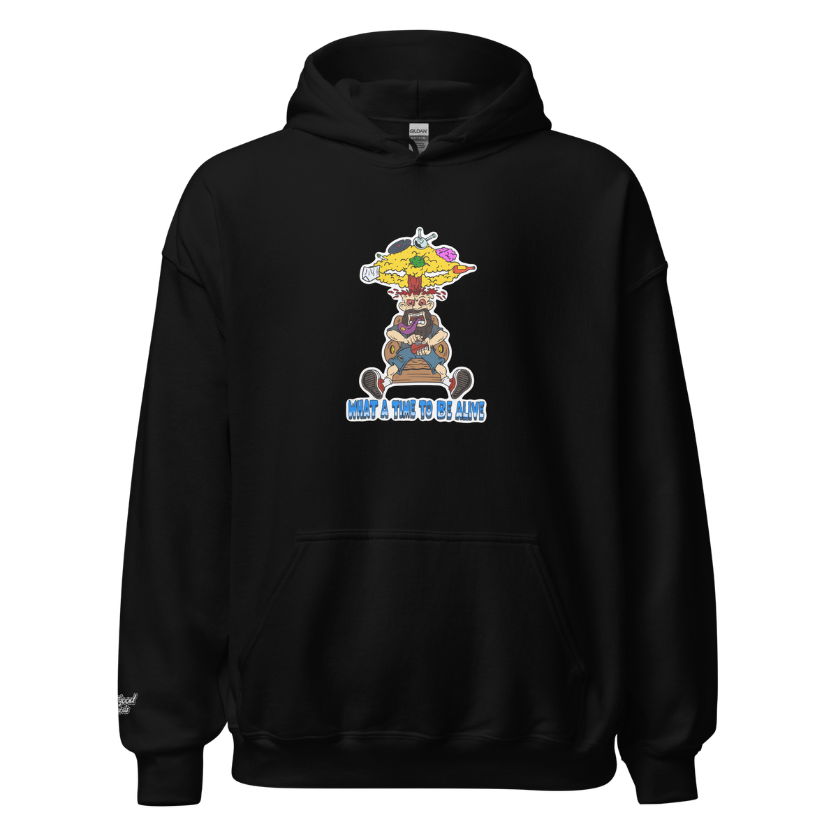 What A Time To Be Alive Hoodie/ Digital Download Bundle