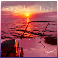 How You Feel (ft. DJ Medz) by TOSPACEWEGO, DJ MEDZ
