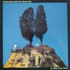Elvis Costello & The Attractions – Goodbye Cruel World - Vinyl