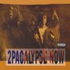2Pac - 2Pacalyse Now - Vinyl