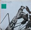 Courtney Barnett – Creature Of Habit - Vinyl