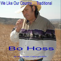 We Like Our Music Traditional by Bo Hoss