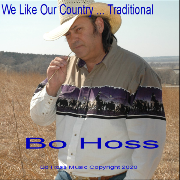 We Like Our Music Traditional - CD