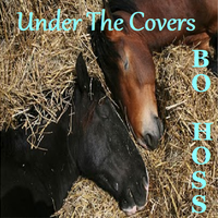 Under The Covers by Bo Hoss