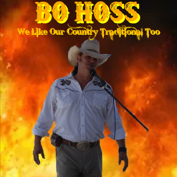 We Like Our Country Tradition Too - CD