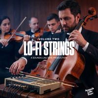 Volume Two - Lo-Fi Strings by Sounds Like Tape