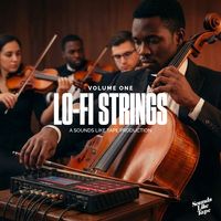 Volume One - Lo-Fi Strings by Sounds Like Tape
