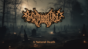 A Natural Death