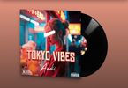 Tokyo Vibes Vinyl 12”