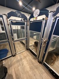 Puppies Move to Kennel Puppy Room