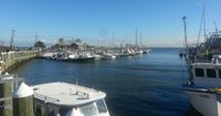 Jam Chowder returns to the Guilford Mooring