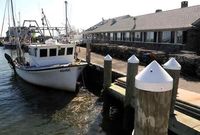 Jam Chowder kicks off summer early at Guilford Mooring