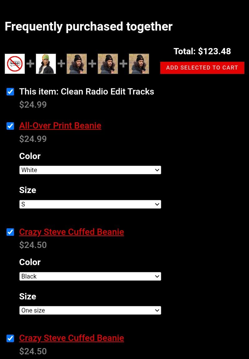 Website Builder With Merch Store