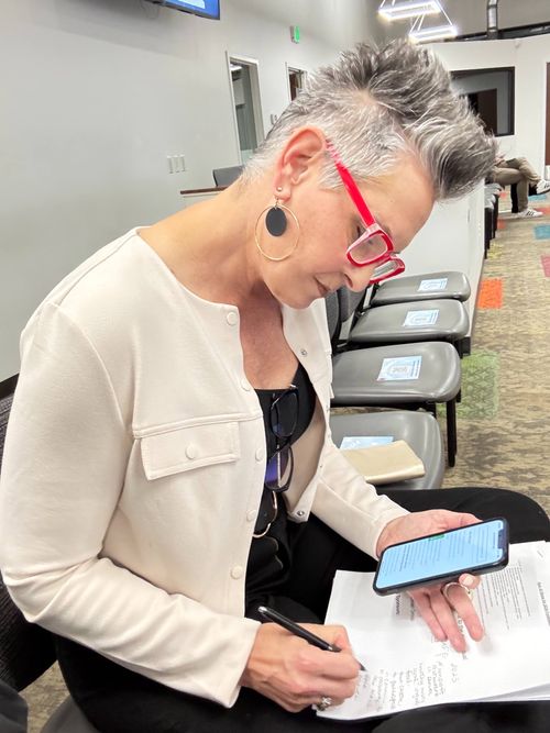 Debbie Scheer fundraising consultant working with a nonprofit organization