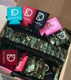 Kayla Daniels Koozies