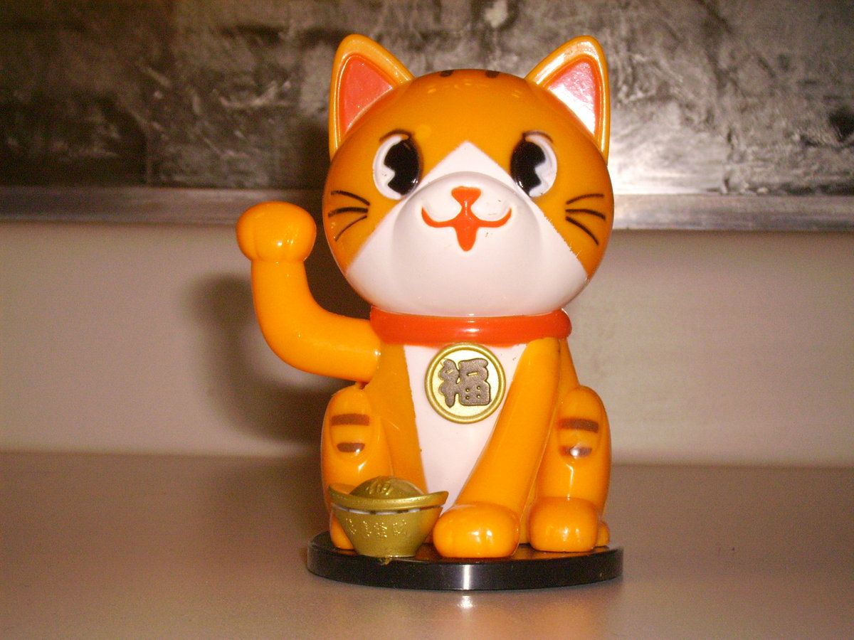 dronecat (orange)