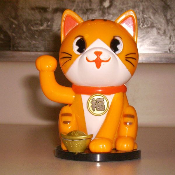 dronecat (orange)