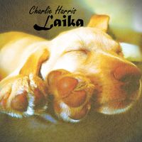 Laika by Charlie Harris