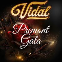 Grupo Vidal