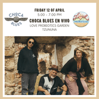 Choca Blues Trio 