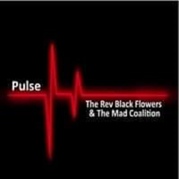 Pulse by The Rev Black Flowers & The Mad Coalition