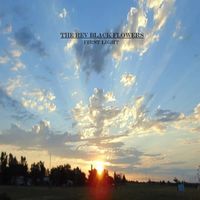 First Light by The Rev Black Flowers