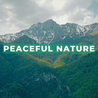 528 Hz | Nature Sounds for Calm & Positive Energy by Point of Attraction Sound