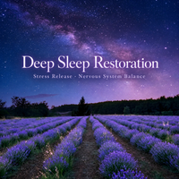 Deep Sleep Restoration | Stress Release & Nervous System Balance by Point of Attraction Sound